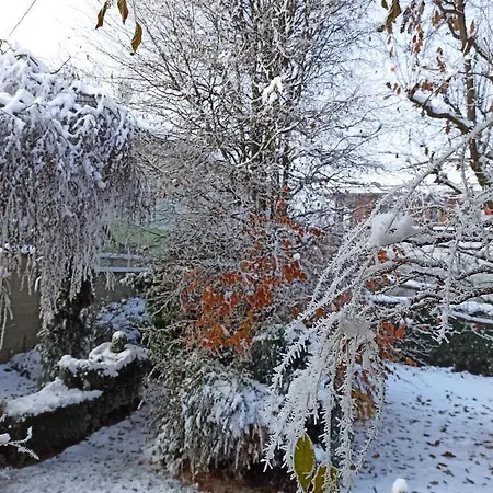 D'or Duble' Carignano (Piedmont)