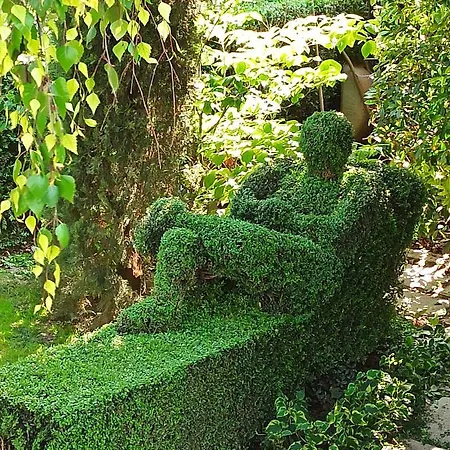 D'or Duble' Carignano (Piedmont)