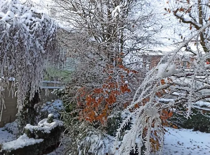 D'or Duble' Carignano (Piedmont)